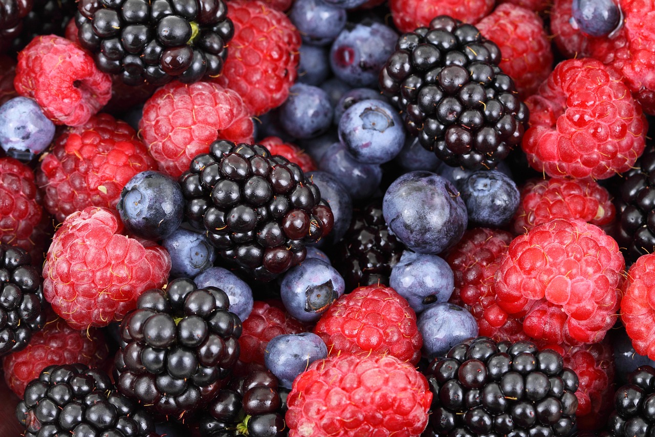 manfaat buah raspberry untuk kesehatan